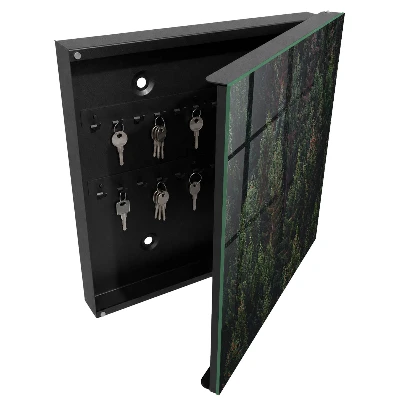 Key box for wall Green forest
