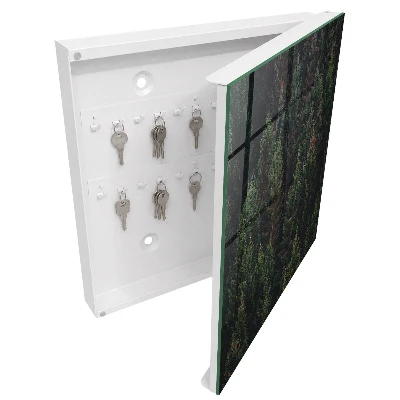 Key box for wall Green forest