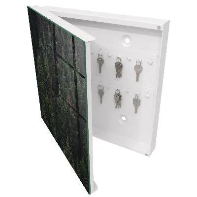 Key box for wall Green forest