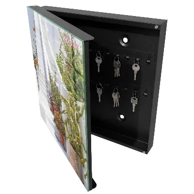 Key cabinet Stairs with plants