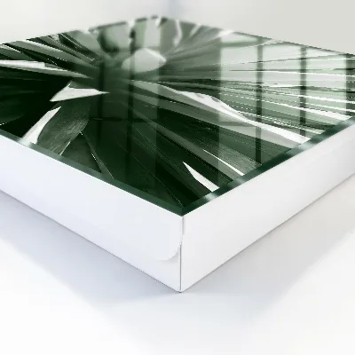 Key cabinet Agave