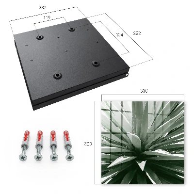 Key cabinet Agave
