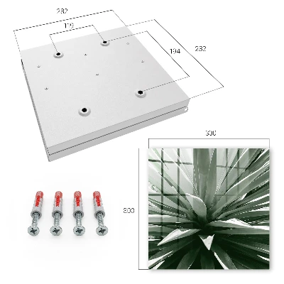 Key cabinet Agave