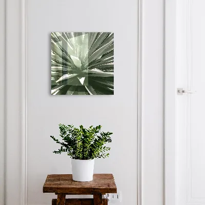Key cabinet Agave