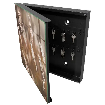 Key box for wall Grasses in the meadow