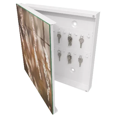Key box for wall Grasses in the meadow
