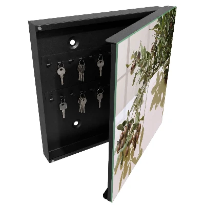 Wall mounted key box Olive twig
