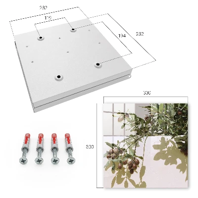 Wall mounted key box Olive twig
