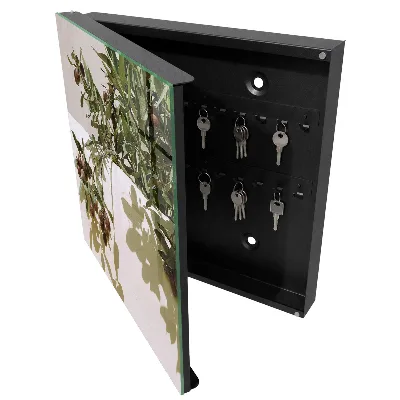 Wall mounted key box Olive twig
