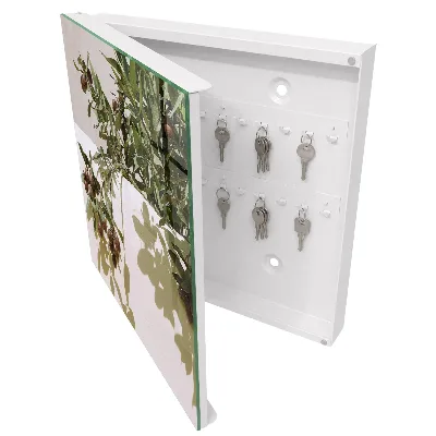 Wall mounted key box Olive twig