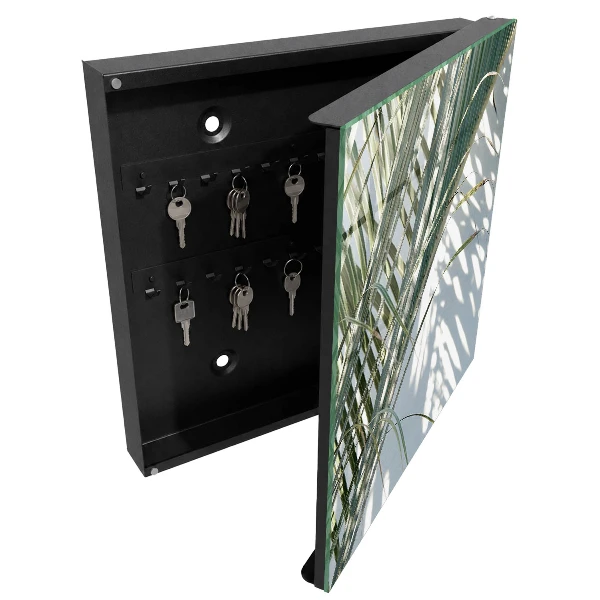 Key box for wall Palms and shadows
