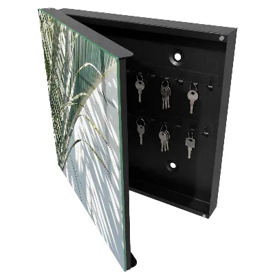 Key box for wall Palms and shadows