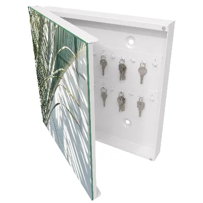 Key box for wall Palms and shadows