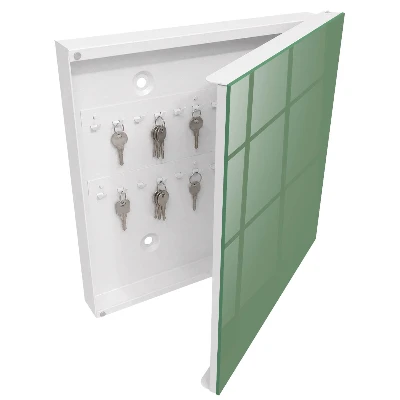 Wall mounted key box Muted green