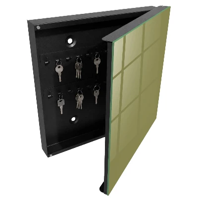 Wall mounted key box Grass green