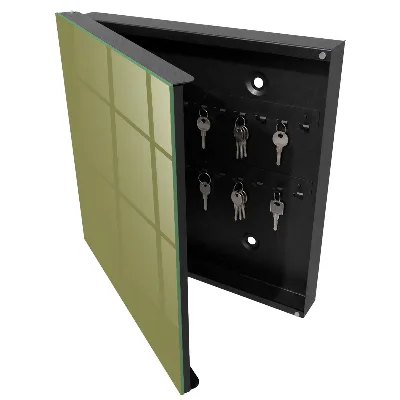 Wall mounted key box Grass green