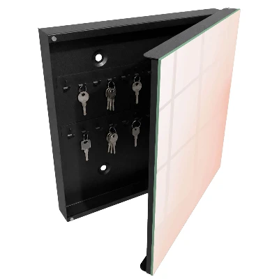 Wall mounted key box Pastel minimalism