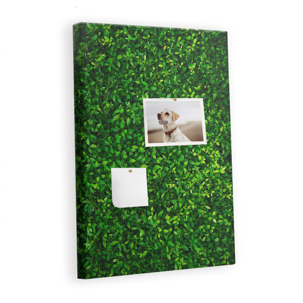 Cork memo board Wall leaves nature