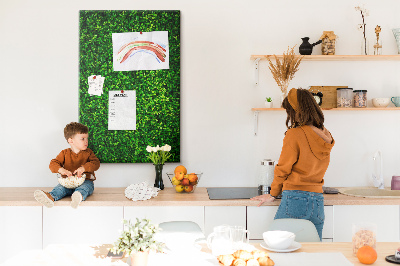 Cork memo board Wall leaves nature