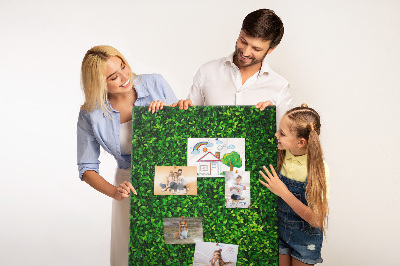 Cork memo board Wall leaves nature