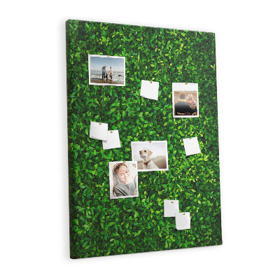 Cork memo board Wall leaves nature