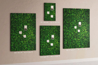 Cork memo board Wall leaves nature