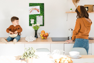 Cork memo board Wall leaves nature