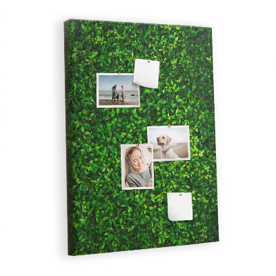 Cork memo board Wall leaves nature