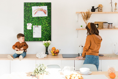 Cork memo board Wall leaves nature