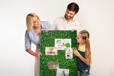 Cork memo board Wall leaves nature