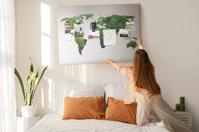 Pin board Ecology world map