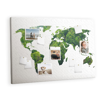 Pin board Ecology world map