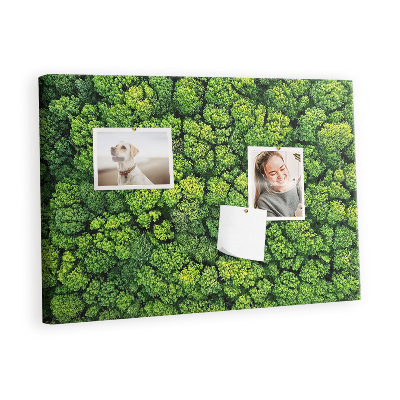 Memo cork board Green forest top view