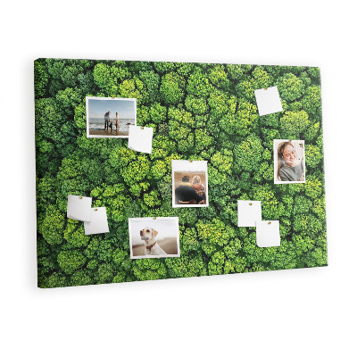 Memo cork board Green forest top view
