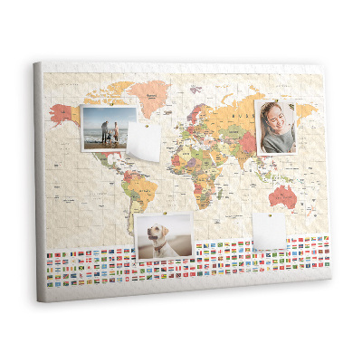 Pin board World map design