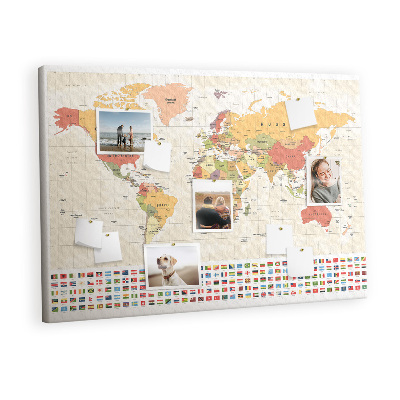 Pin board World map design