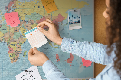 Pin board Geography world map