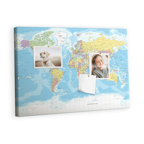 Pin board Detailed world map