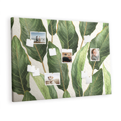 Cork board Palm leaves