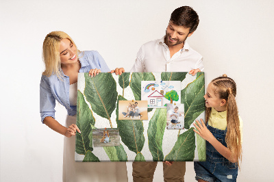 Cork board Palm leaves