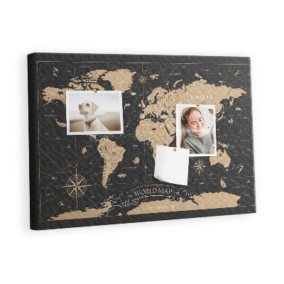 Pin board Vintage world map