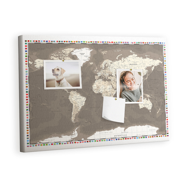 Pin board Brown world map