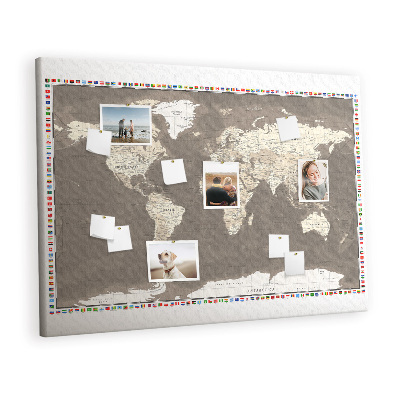 Pin board Brown world map