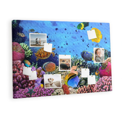 Pin board Underwater life