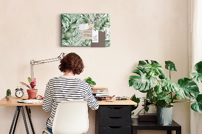 Cork board Plant leaves