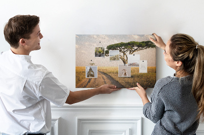 Cork board African landscape