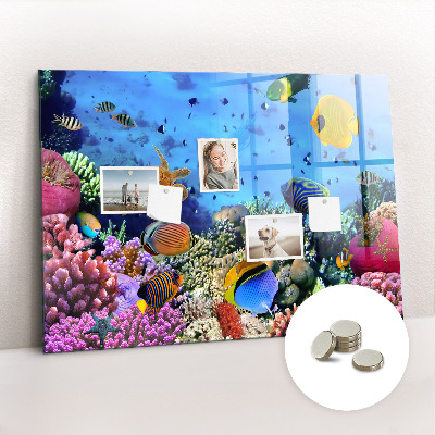 Magnetic board for kids Underwater life