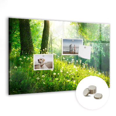 Magnetic notice board for kitchen Spring nature