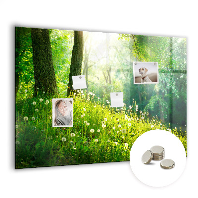 Magnetic notice board for kitchen Spring nature