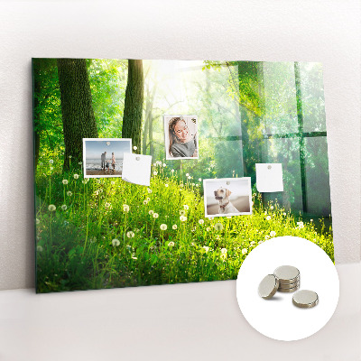 Magnetic notice board for kitchen Spring nature